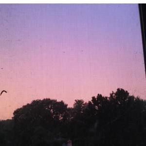 Meet your Posher, Jodi